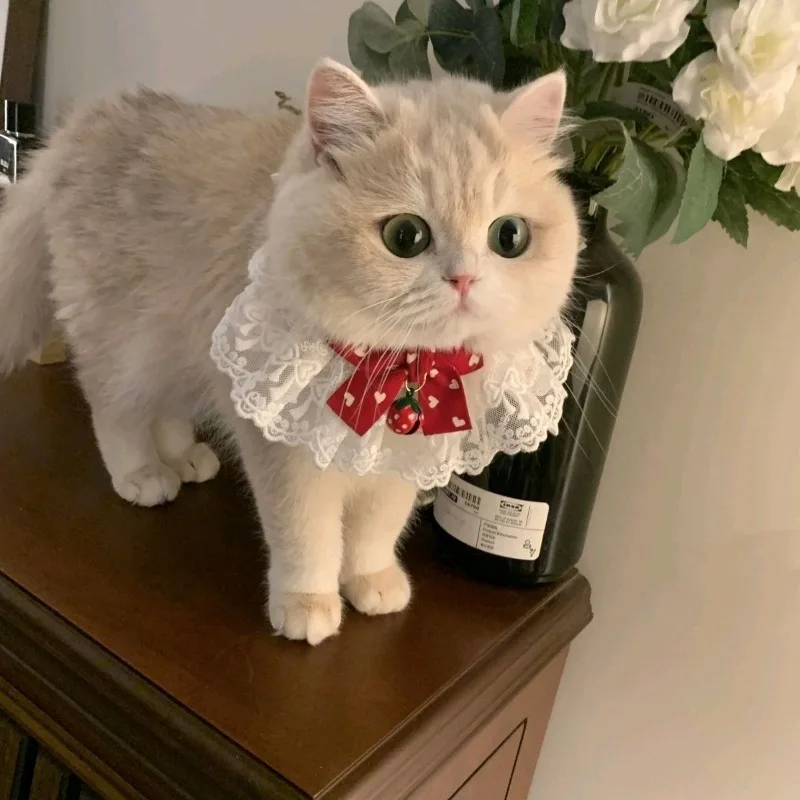 Coleira de Seda para Gatos e Cães, Lenço de Fita Estilo Princesa - Imagem 4