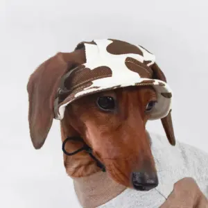 chapéu protetor solar para cães