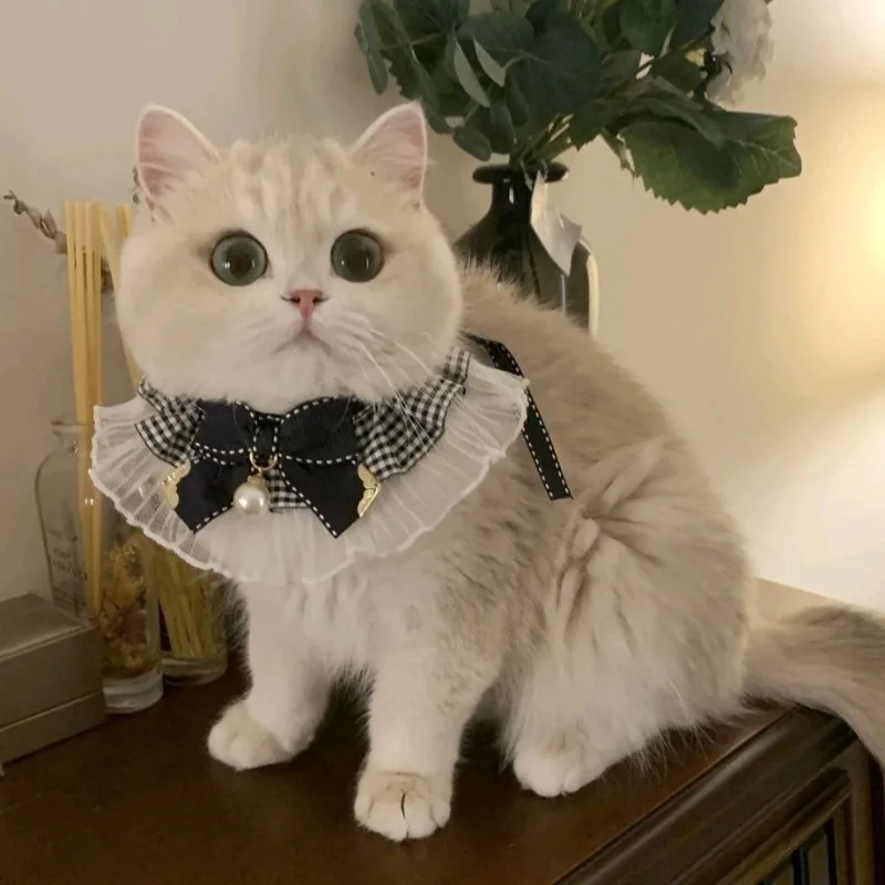 Coleira de Seda para Gatos e Cães, Lenço de Fita Estilo Princesa - Imagem 2