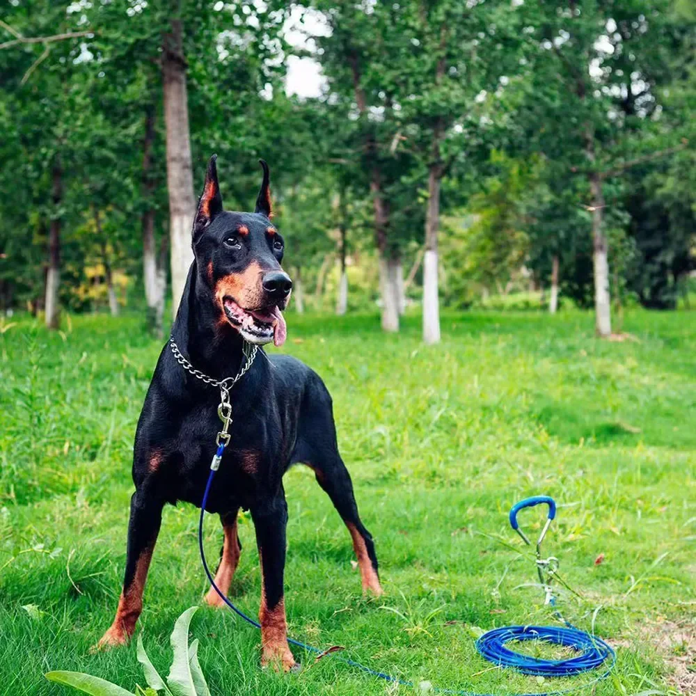 Coleira Deslizante para Cães de Aço Inoxidável 45 cm x 2,5 mm - Imagem 3