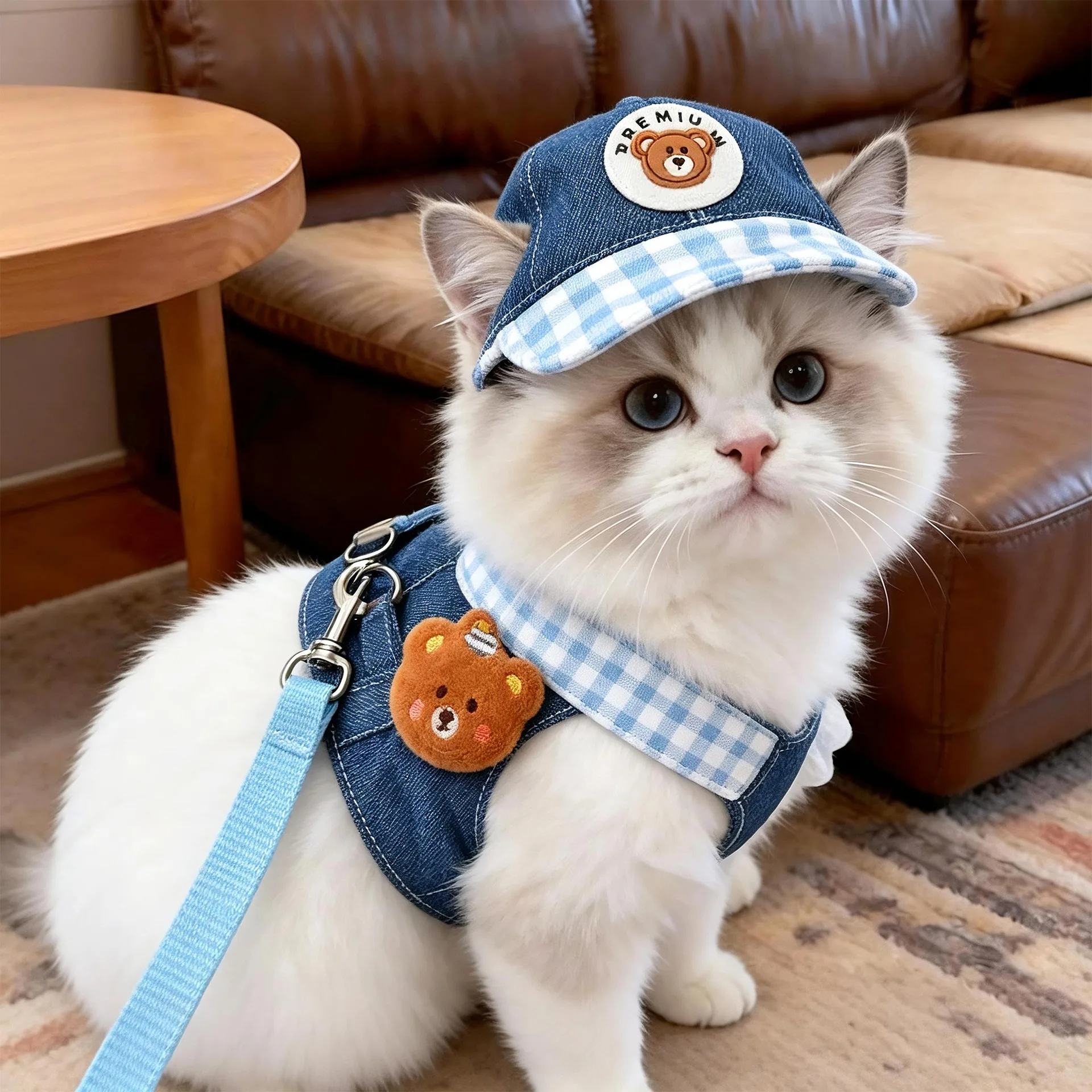 Colete Jeans para Cães e Gatos Pequenos com Chapéu de Sol - Imagem 4