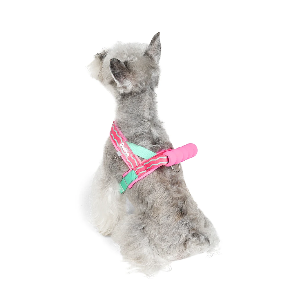 Coleira Peitoral para Cães Pequenos e Médios com Alça Acolchoada - Image 6