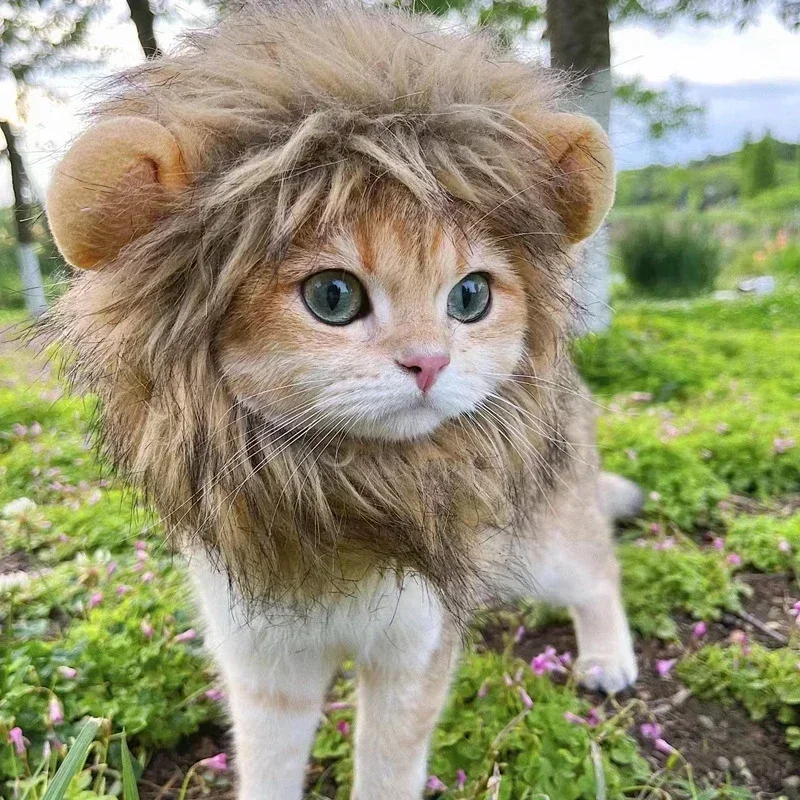 Chapéu Juba de Leão para Gatos e Cães Pequenos Cinza Claro - Imagem 2
