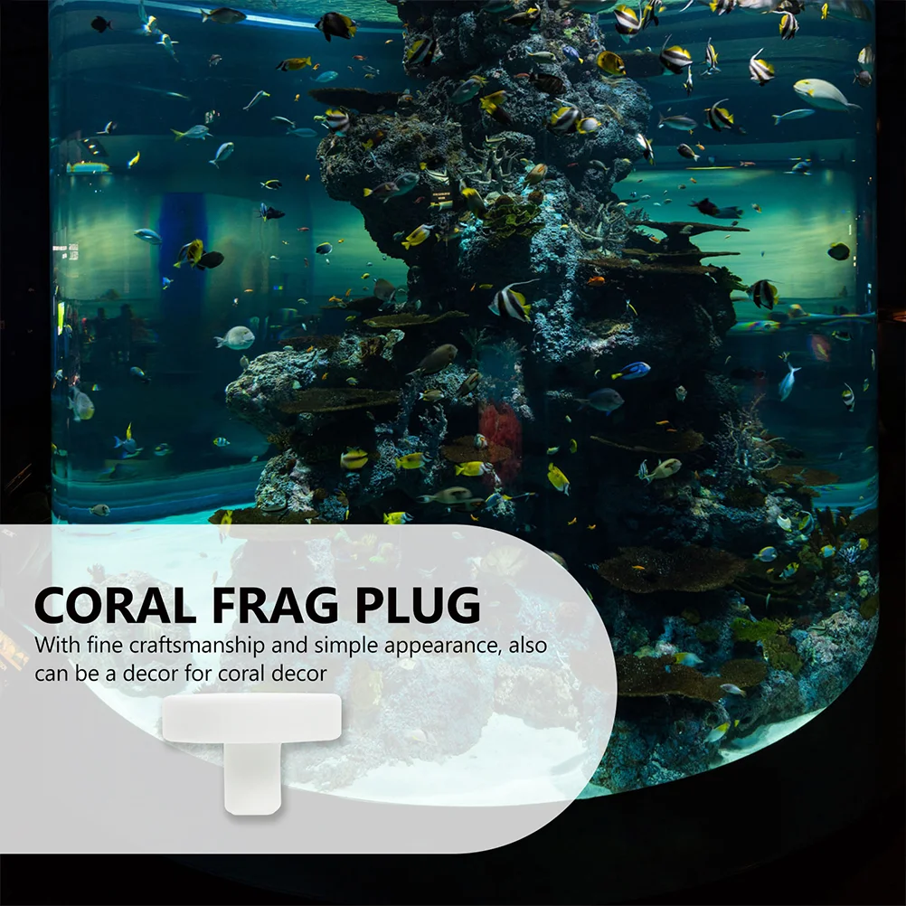 Plug de Cerâmica para Coral de Aquário, 20 peças, 2,5 cm - Imagem 6