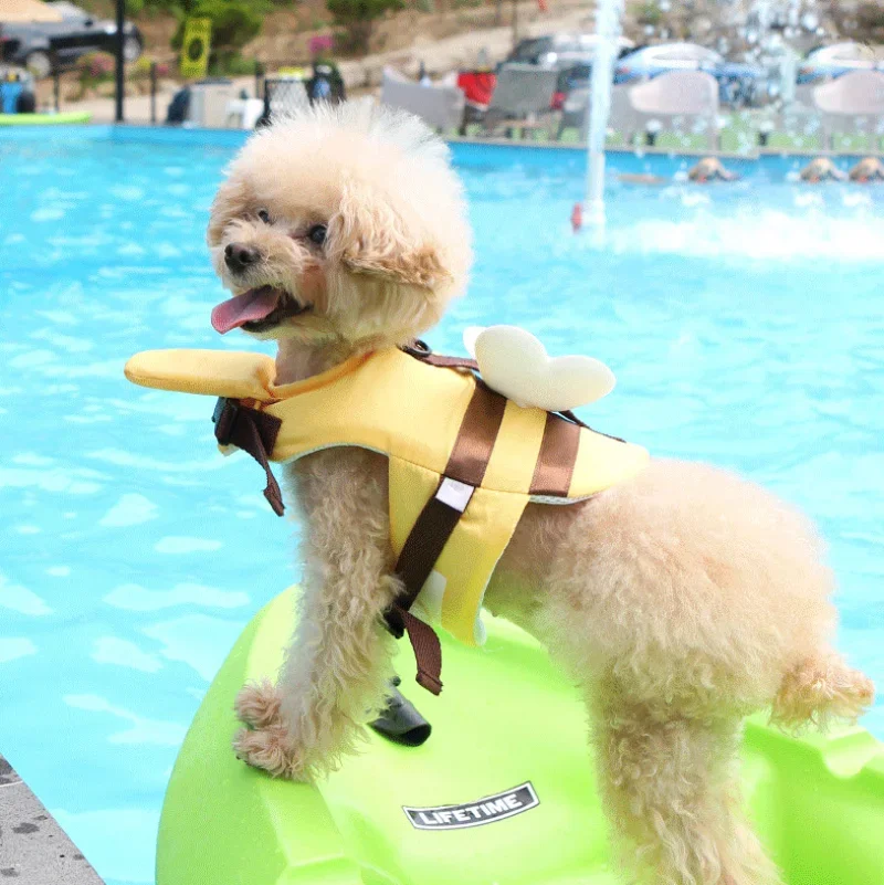 Colete Salva-Vidas para Cães Pequenos M com Peito 40-52cm - Imagem 5