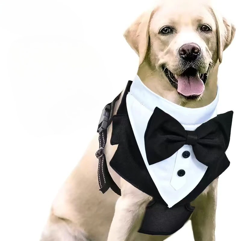Coleira e Arnês para Cães com Gravata Borboleta Ajustável - Imagem 4