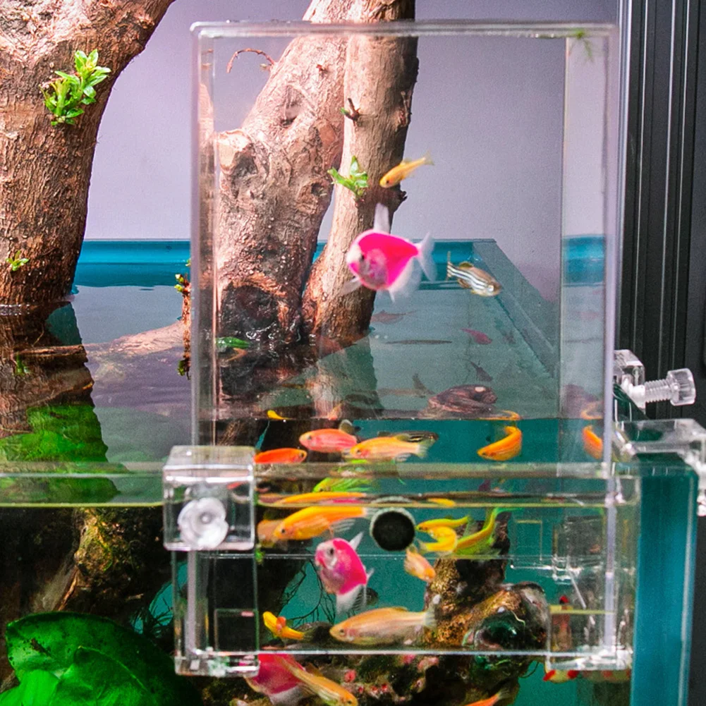 Extensor de Aquário Aéreo para Peixes 19x12x13cm com 3 Fivelas de Fixação - Imagem 4