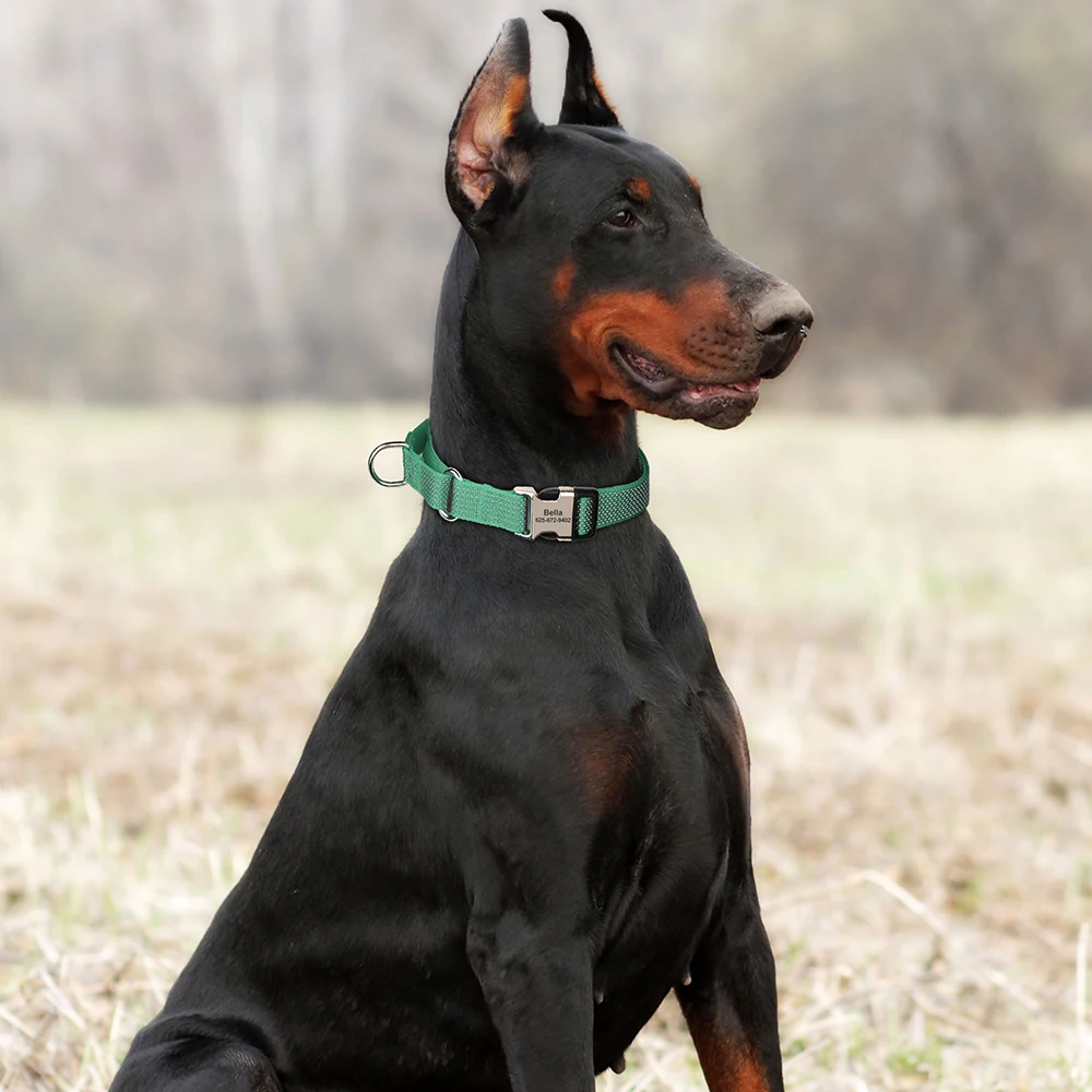 Coleira Martingale para Cães Nylon Reflexiva Ajustável - Imagem 5