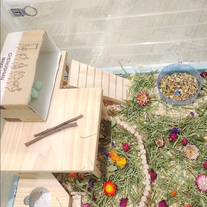 plataforma de madeira para hamster com escada