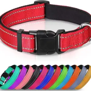 coleira de nylon para cães com acolchoamento