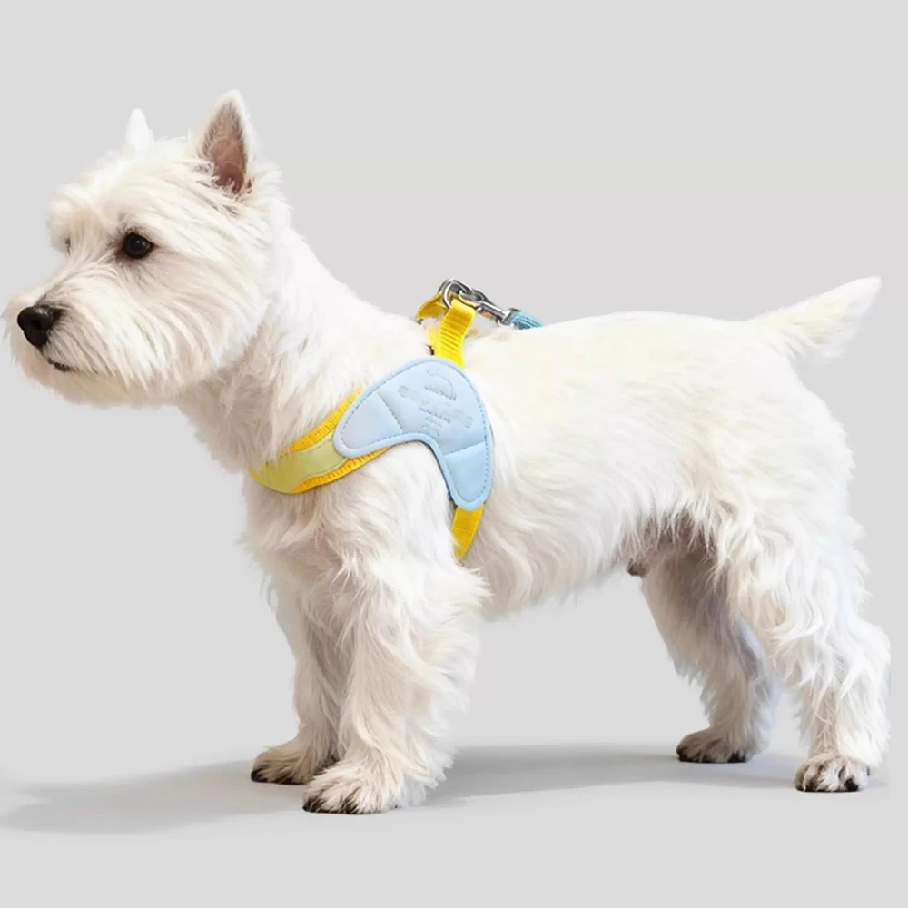 Peitoral para Cães em Y Colorido para Passeio - Image 6