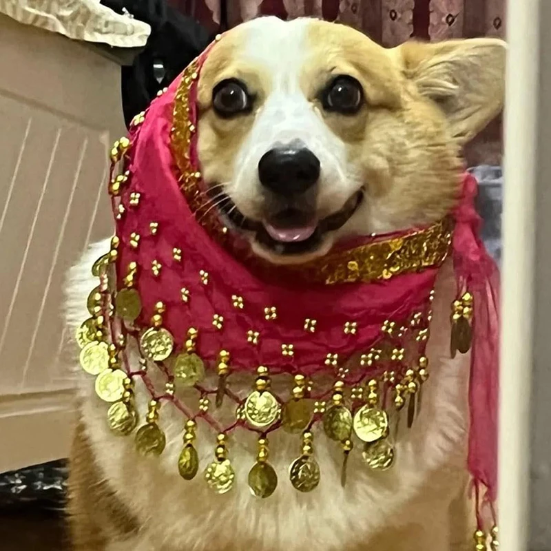 Cinto Decorativo para Cães Corgi com Lantejoulas 88 cm - Imagem 5