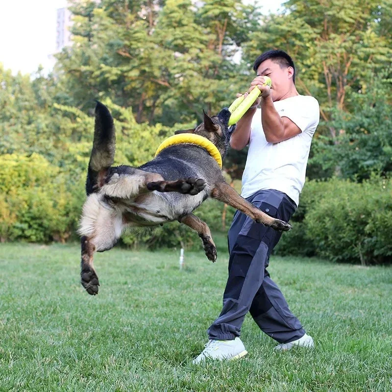 Brinquedo Anel para Cães de EVA Flutuante para Jogar na Água - Imagem 3