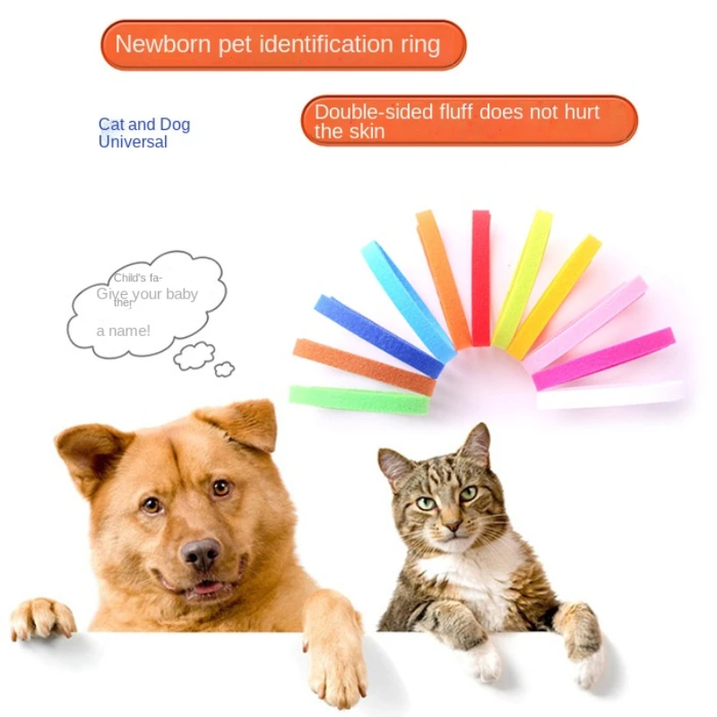 Coleiras de Identificação para Gatos e Cães Pequenos, 12 Peças - Imagem 3