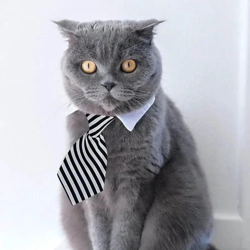 Gravata Borboleta para Cães e Gatos Pequenos de Algodão Ajustável - Imagem 5