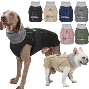jaqueta impermeável para cães com anel D