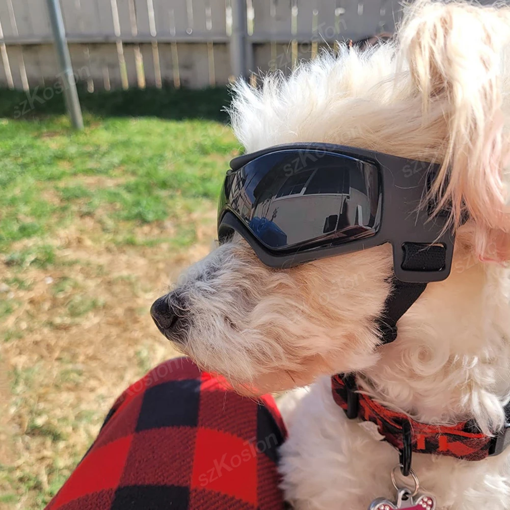 Óculos de Sol para Cães Pequenos e Médios com Proteção UV Ajustável - Imagem 4