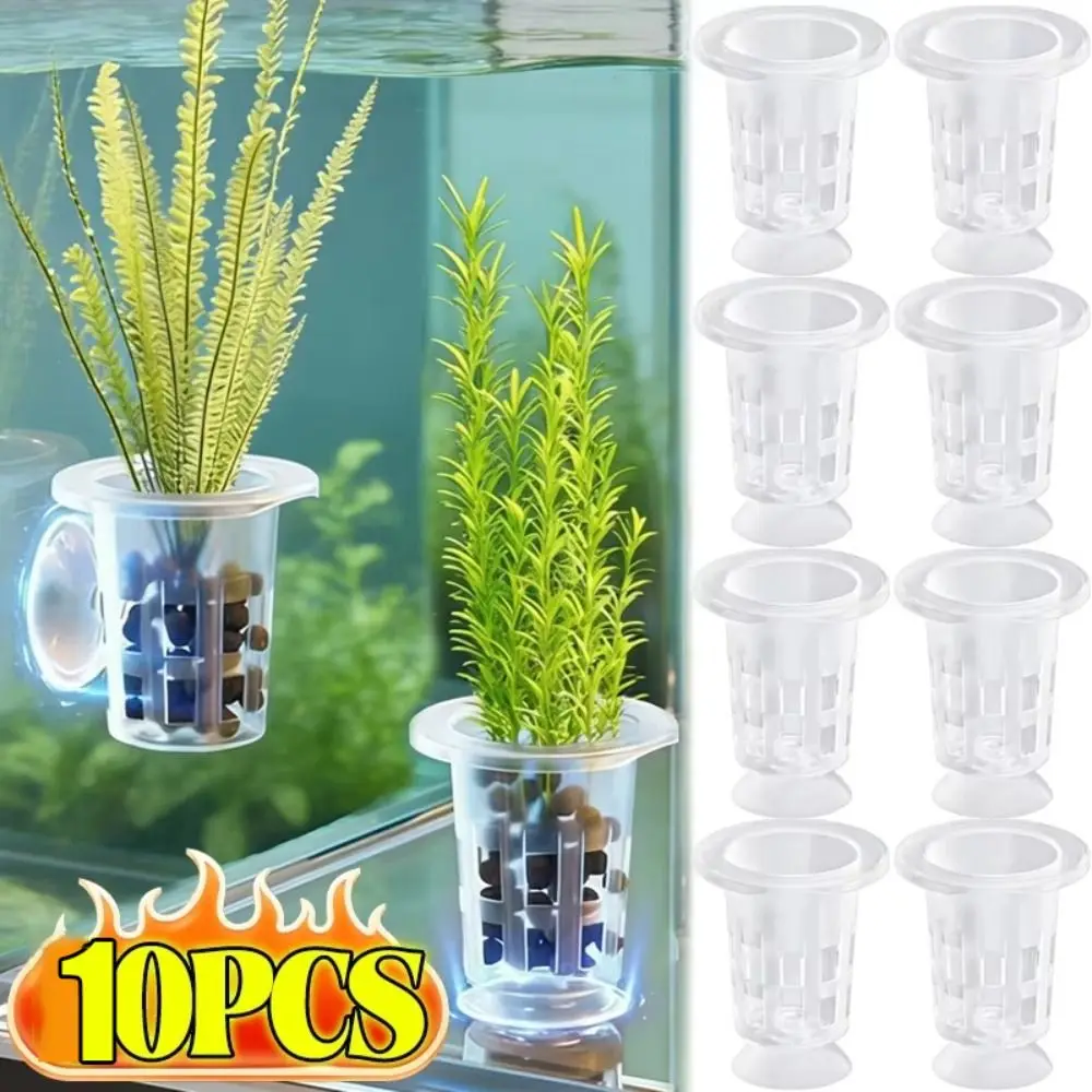 vaso hidropônico transparente para aquário