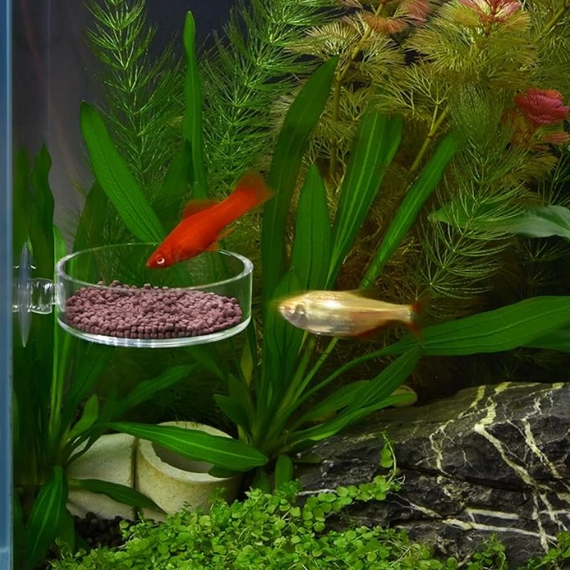 Prato Alimentador para Camarão de Aquário Mini com Ventosa Acrílica - Imagem 5
