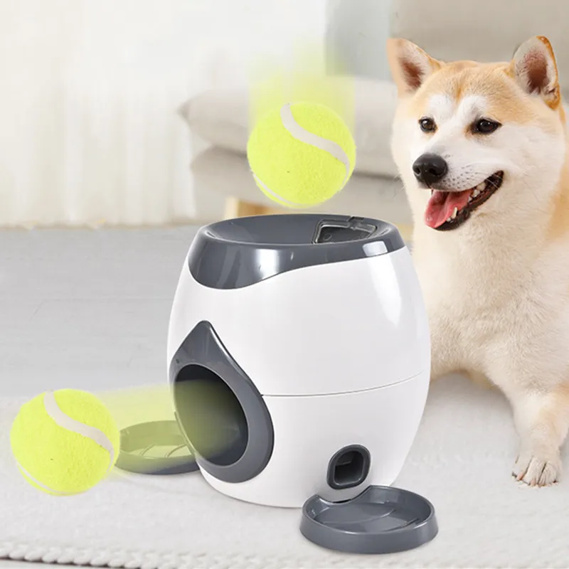 lançador automático de bolas para cães
