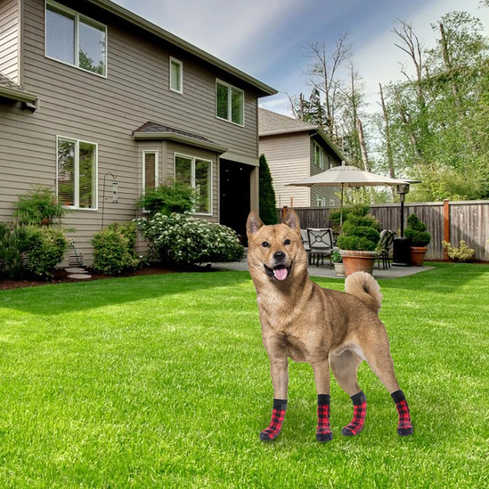 Meias para Cães de Algodão com Sola Antiderrapante, 4 Peças - Imagem 2
