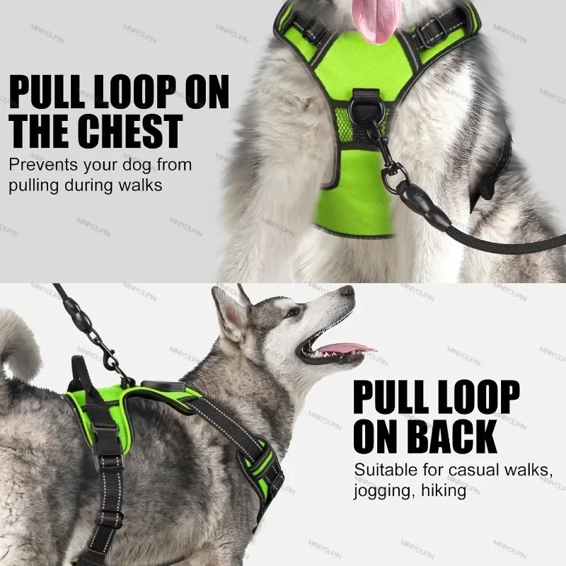 Arnês LED para Cães Recarregável com Faixa Refletiva para Passeio Noturno - Imagem 6