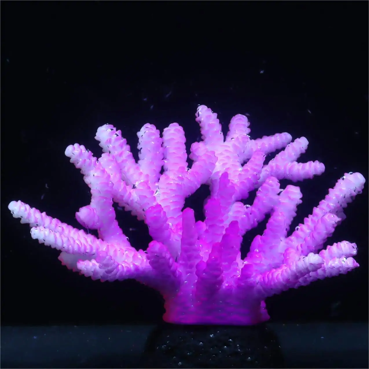 Decoração de Aquário Coral Fluorescente para Peixe Betta Azul - Imagem 5