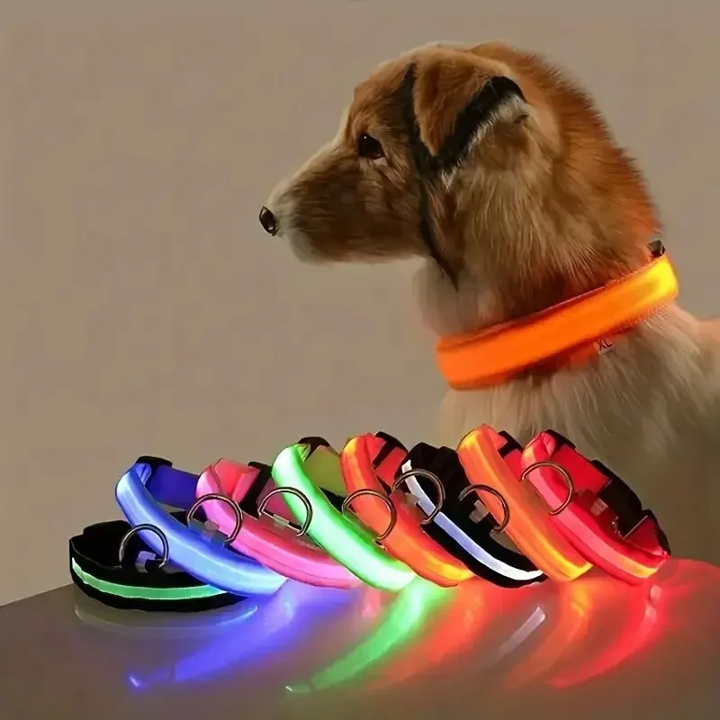 coleira led para cães de nylon