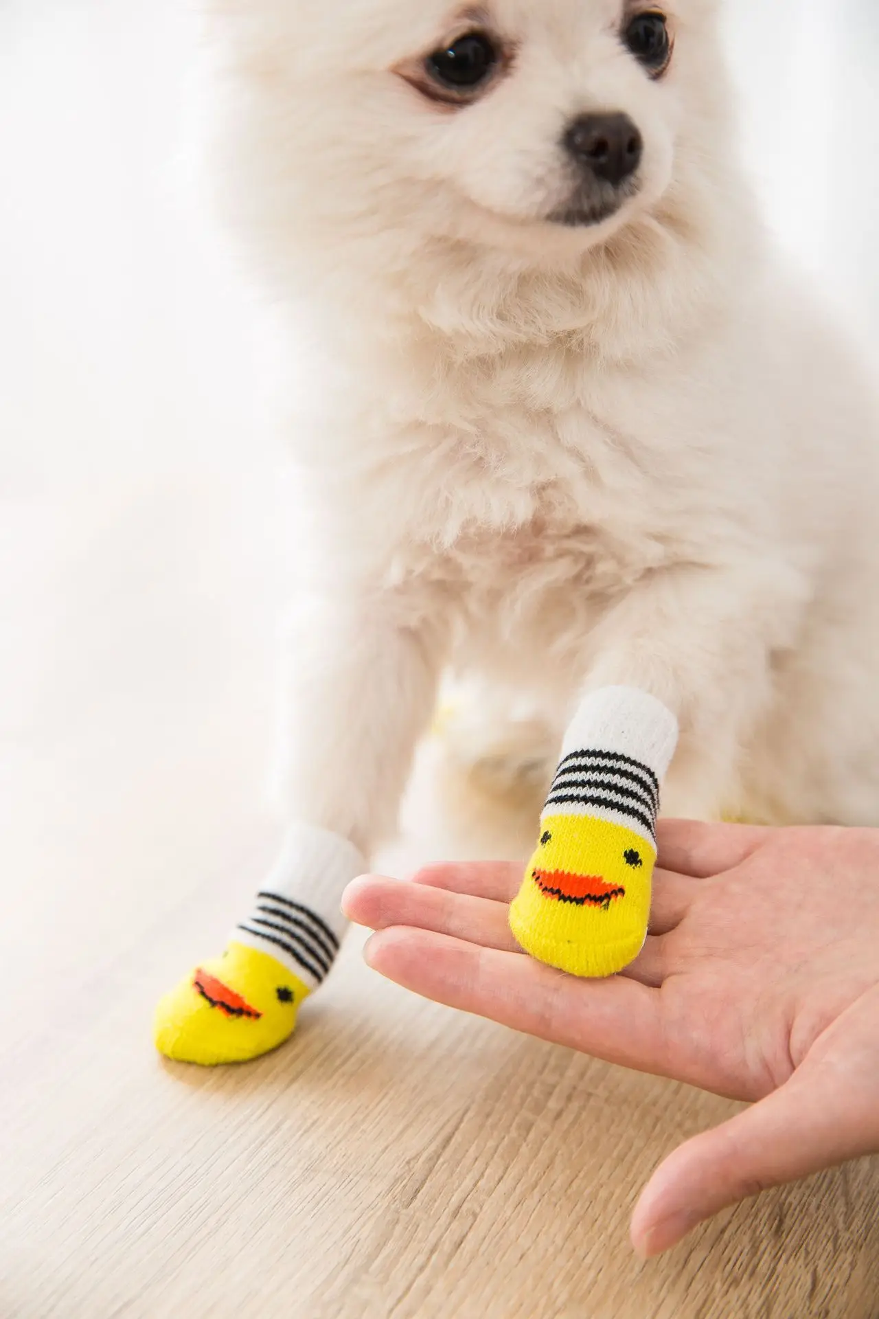 Meias para Cães com Padrão Antiderrapante 4 Peças - Imagem 6