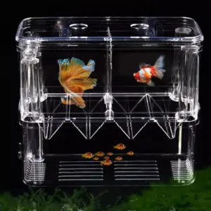 caixa de criação para peixes de aquário