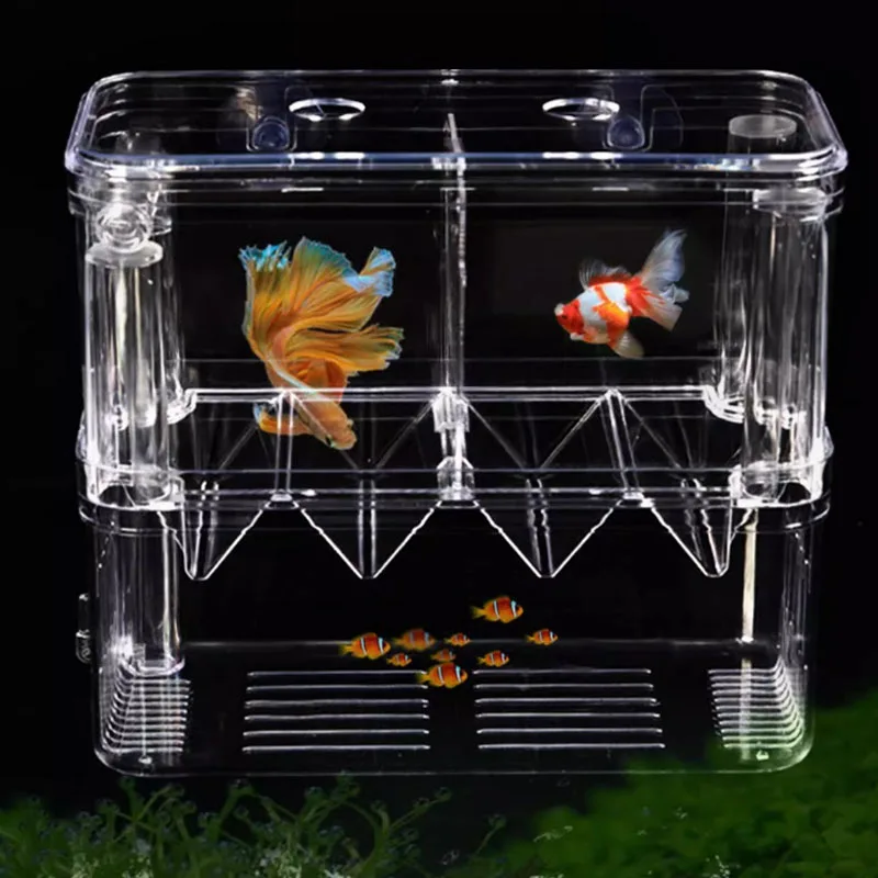 caixa de criação para peixes de aquário