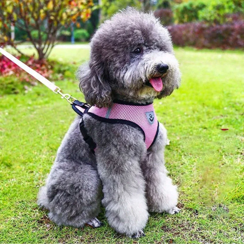 Coleira Peitoral para Cães de Poliéster com Malha Ajustável - Image 5