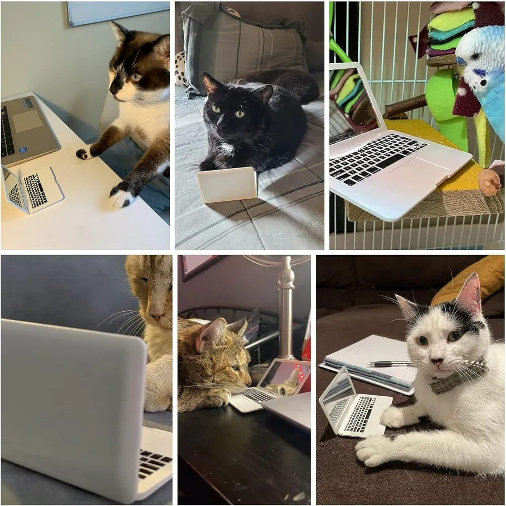 Brinquedo Interativo para Gato com Espelho e Tira - Imagem 6