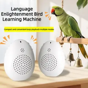 máquina de ensino de fala para pássaros