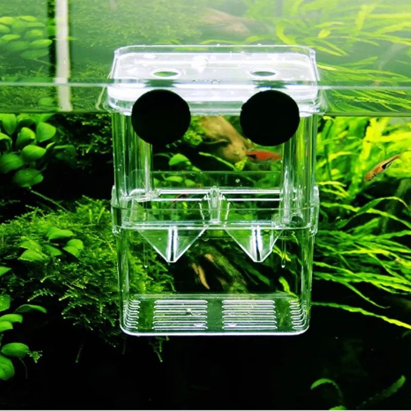 Caixa de Criação para Peixes de Aquário de Acrílico Pequena 7x8x11cm - Imagem 6