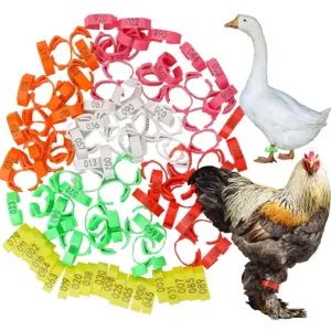 anel de identificação para aves ajustável