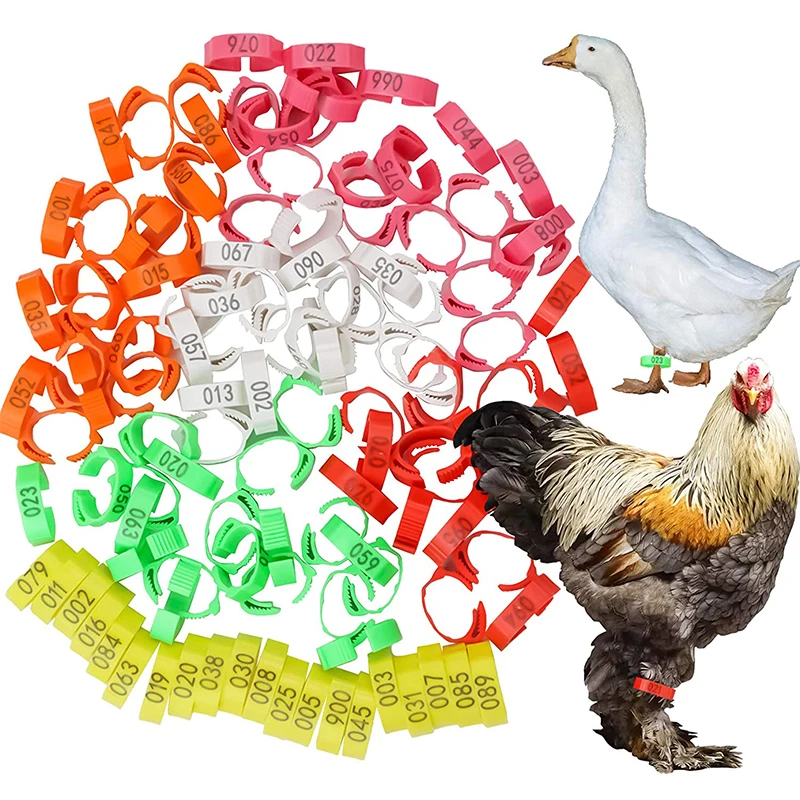 anel de identificação para aves ajustável