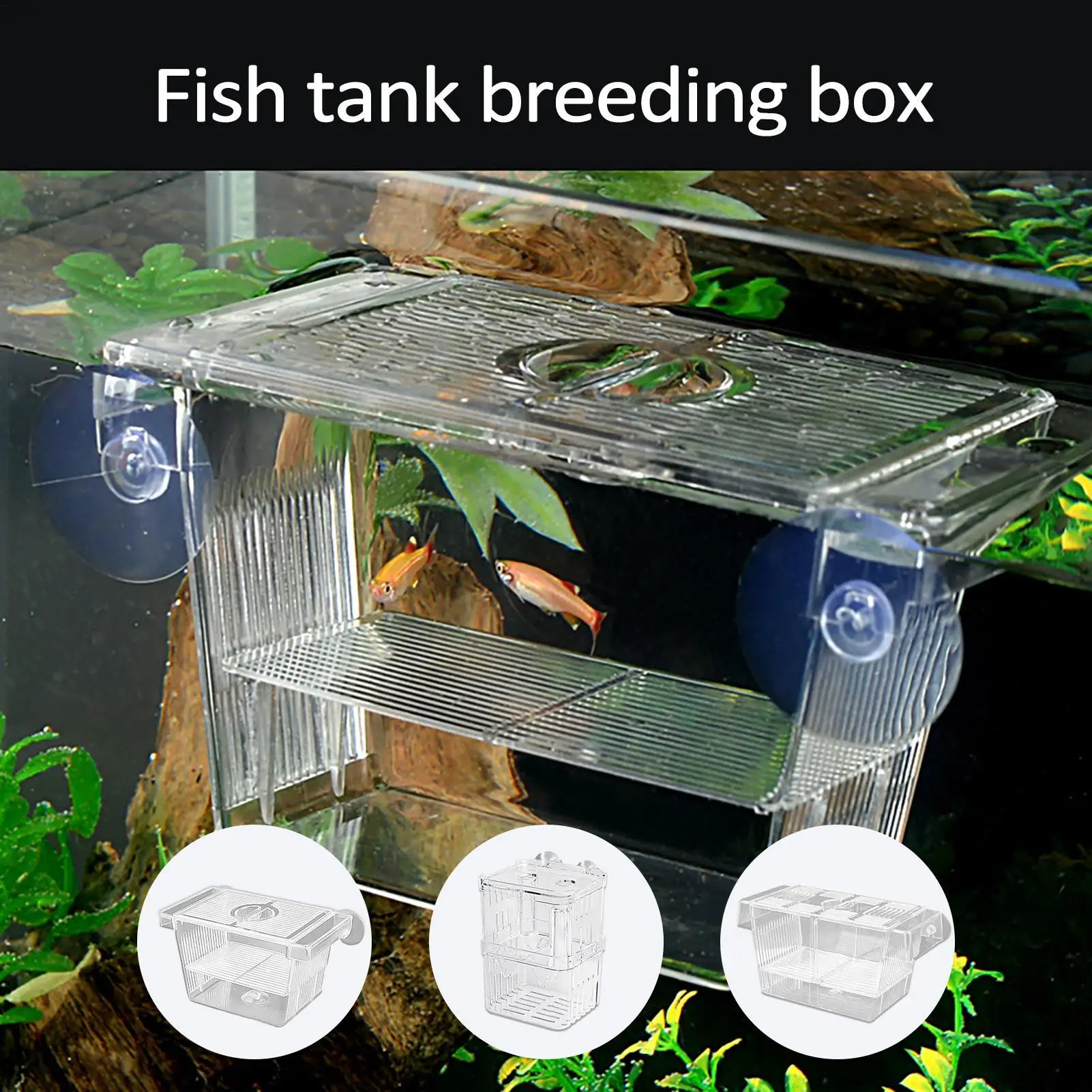 caixa de criação para peixes