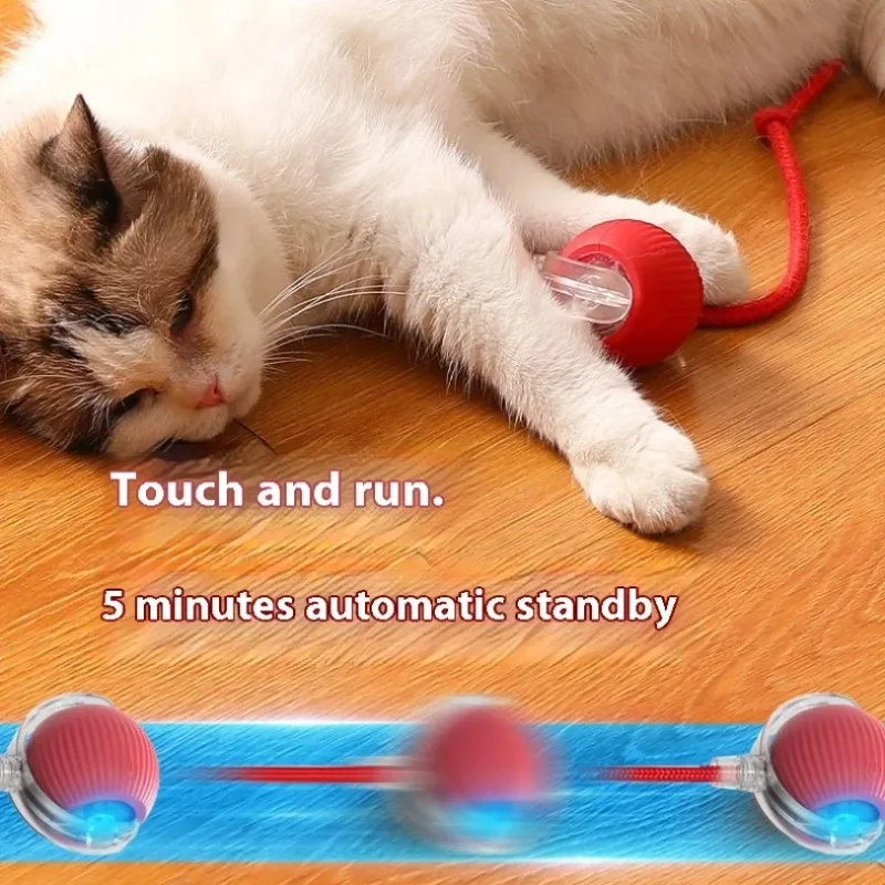 Brinquedo Interativo para Gatos Bola Rolante Recarregável USB - Imagem 5