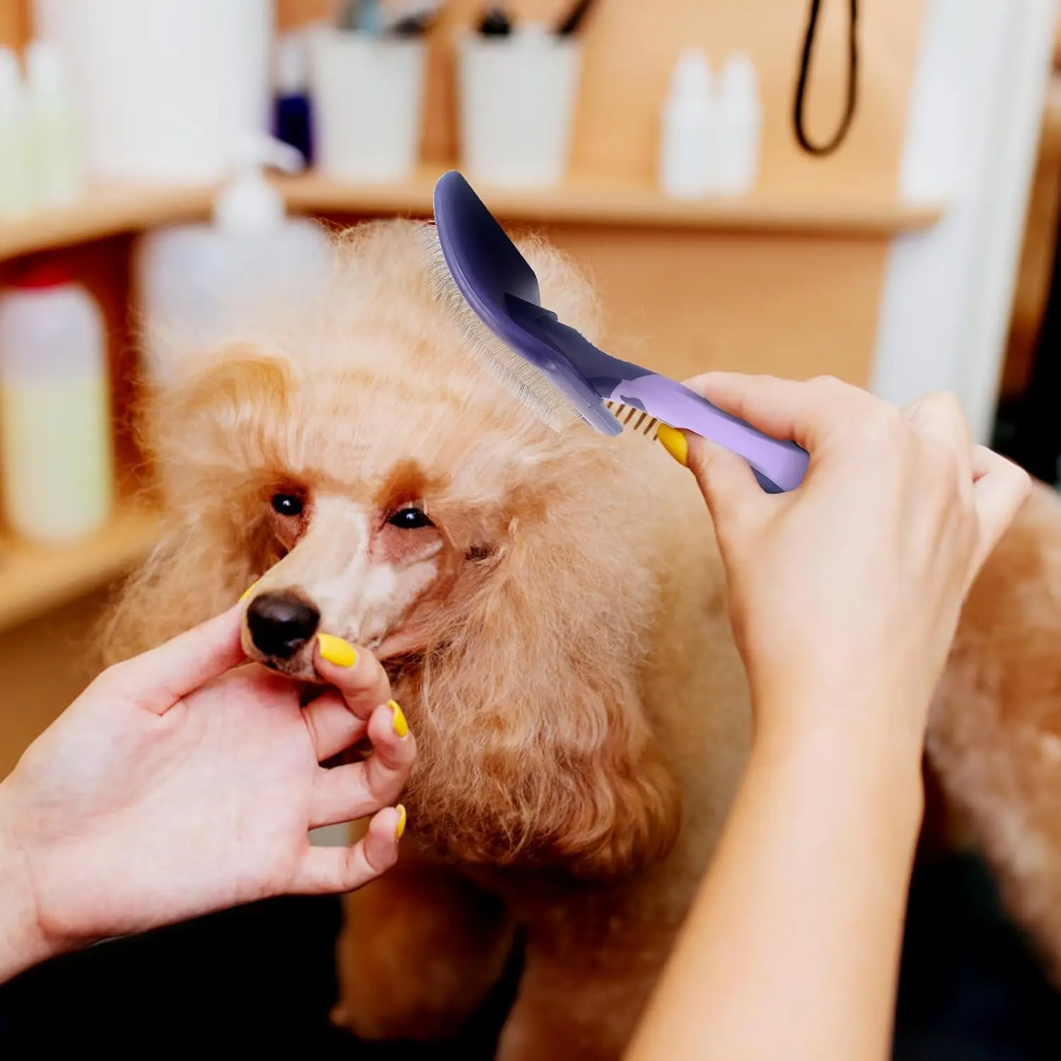 Escova para Cães de Pelo Longo para Desembaraçar no Banho - Imagem 6