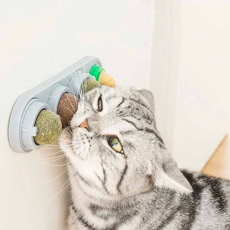 brinquedo bola de videira para gatos