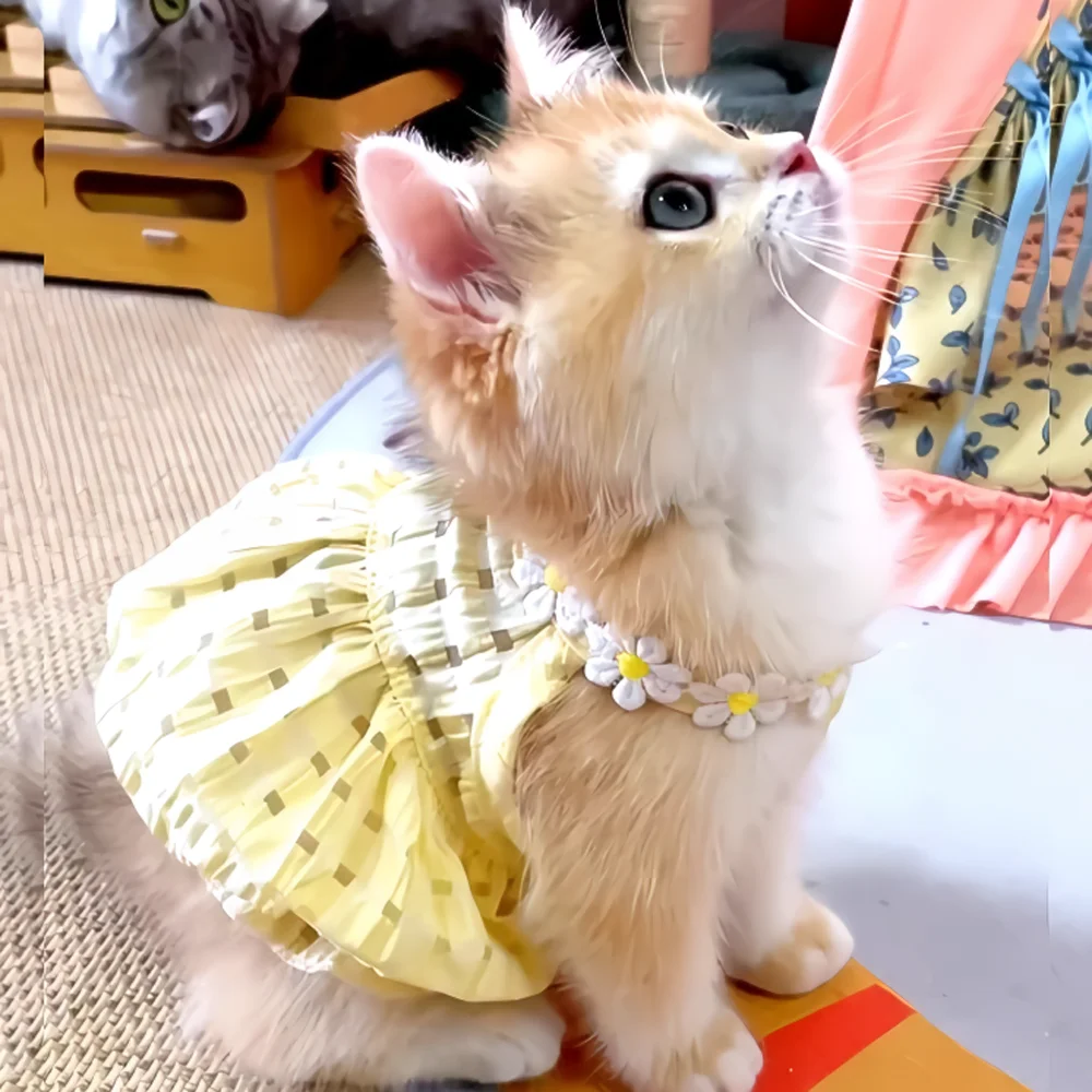 Vestido Floral para Cães Pequenos Amarelo para Passeio - Image 3