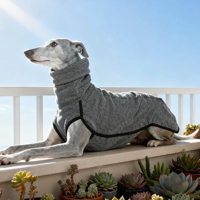 Colete de Lã para Cães Italian Greyhound e Whippet, Gola Alta - Imagem 6