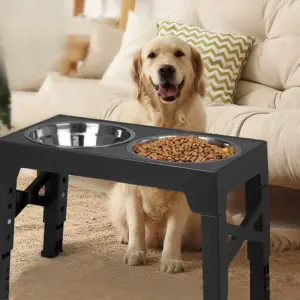 comedouro elevado ajustável para cães