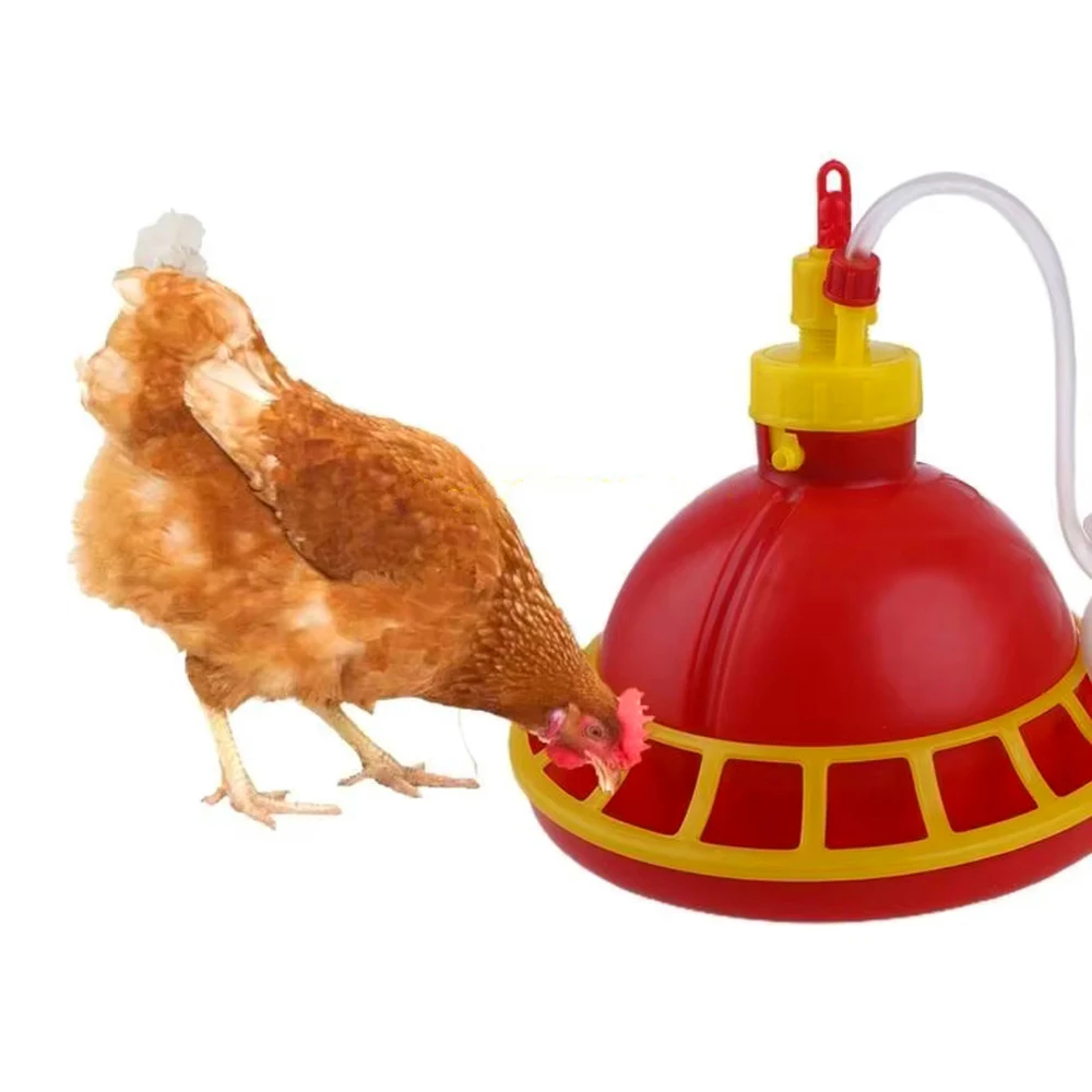 Bebedouro Automático para Aves 24 cm com Mangueira 105 cm - Imagem 5
