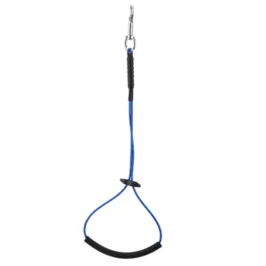 argola de tosa para cães e gatos