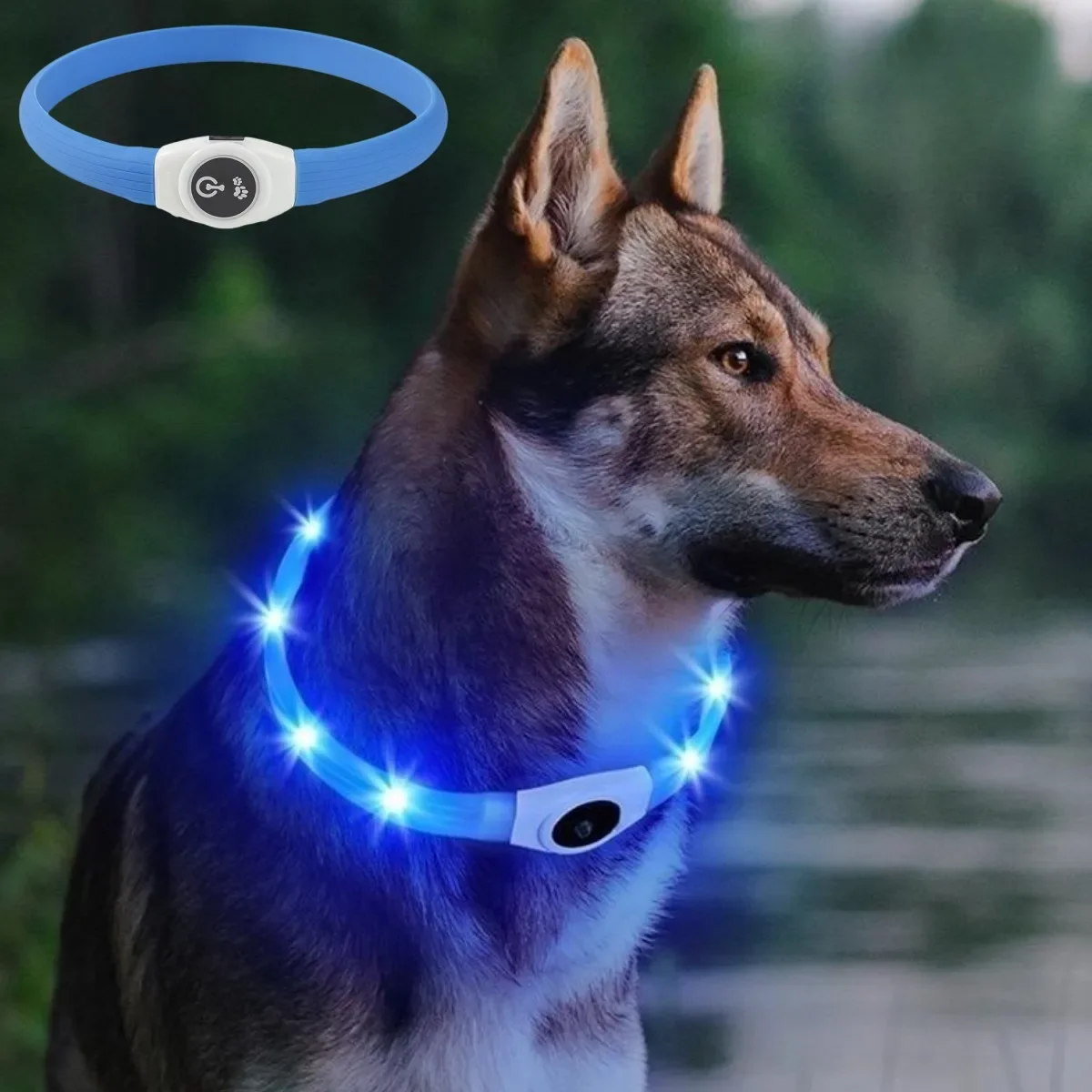 coleira de led para cães recarregável