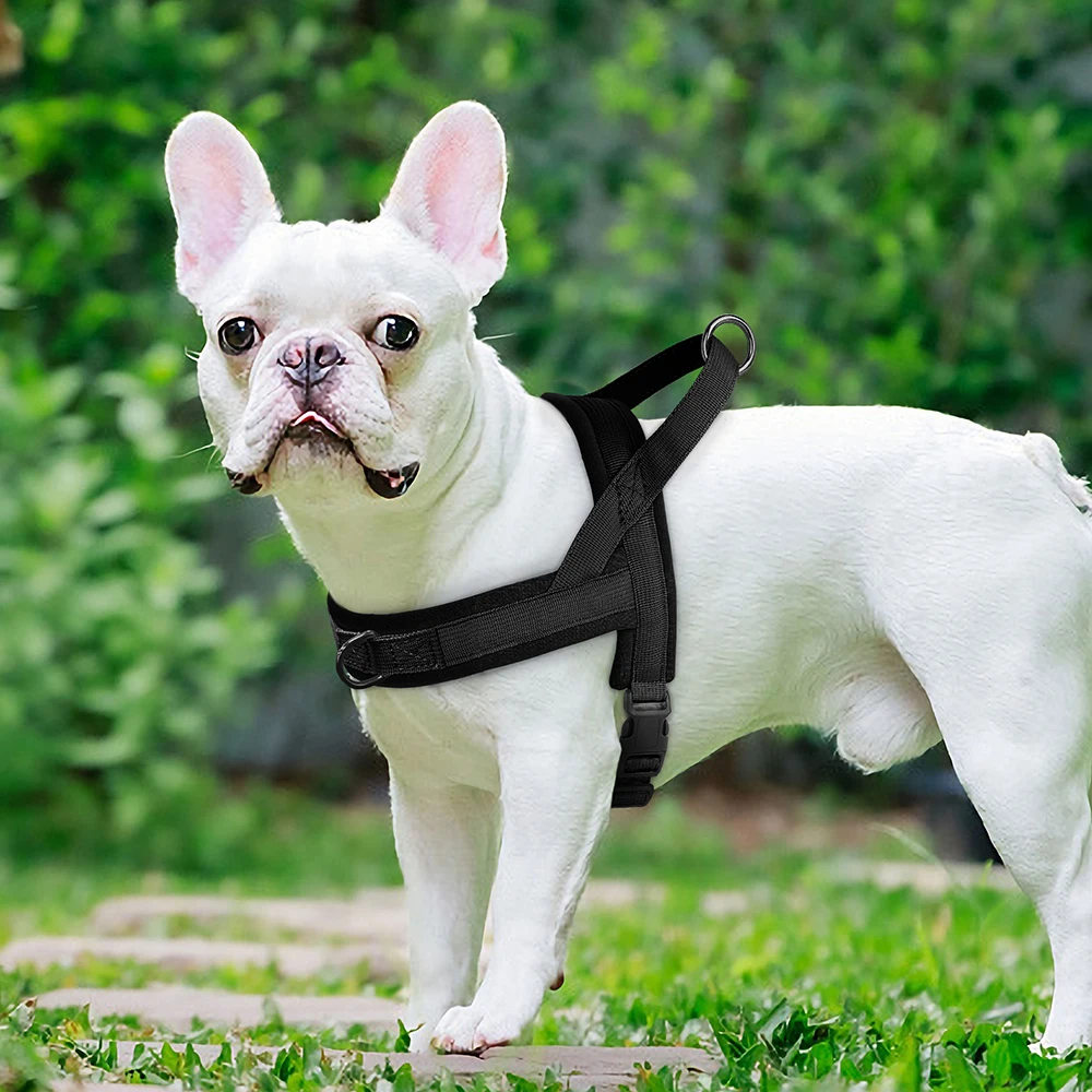Colete de Nylon Acolchoado para Cães Pequenos Ajustável - Imagem 5