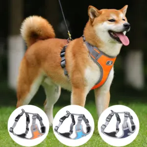 colete para cães refletivo