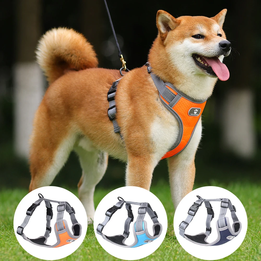 colete para cães refletivo